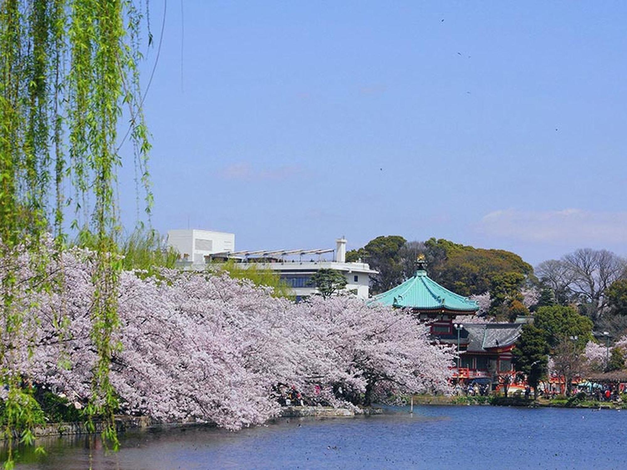 Hotel Mystays Ueno Iriyaguchi Tokio Zewnętrze zdjęcie